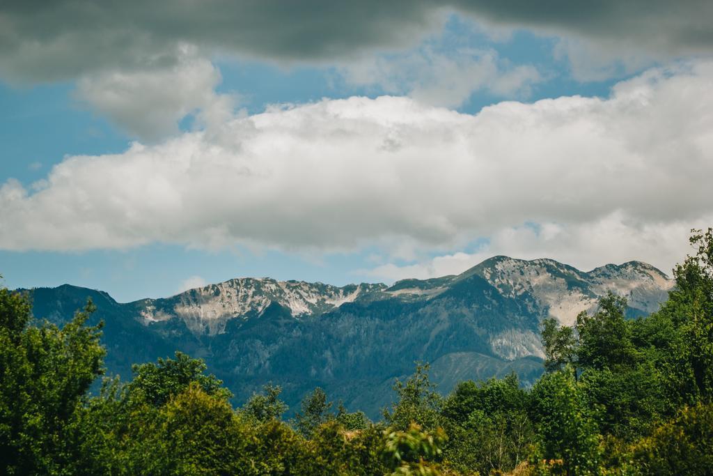 Pocitniska Hiska Pod Skalco Βίλα Kamnik Εξωτερικό φωτογραφία